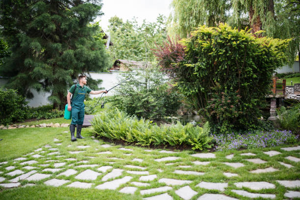 Best Best Pest Control Companies  in Lyndhurst, OH