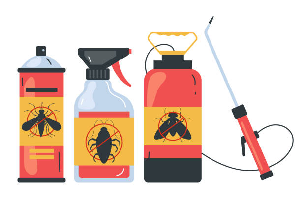 Best Termite Control Services  in Lyndhurst, OH